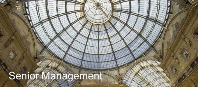Virtual Data Room Senior Management from McKinsey, GE, Credit Suisse